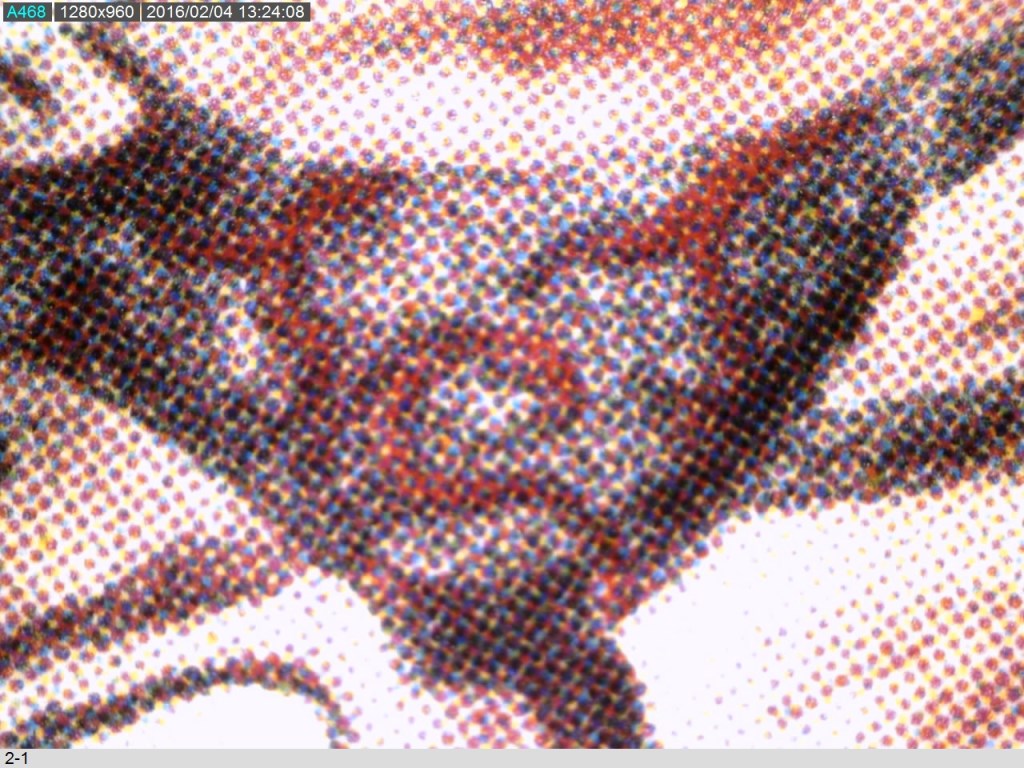 Visible - cheval rouge 1.jpg