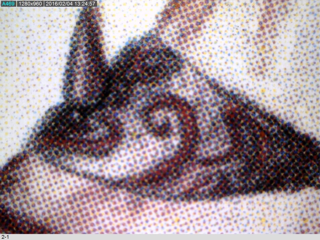 Visible - cheval rouge 2.jpg